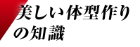 美しい体型作りの知識